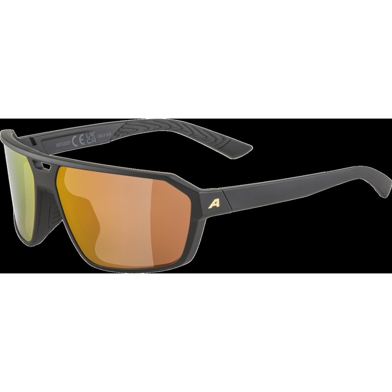 Alpina Swift Sunglasses, Matte Black/Gold, One Size