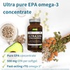 Igennus Ultra Pure Omega-3 EPA 500mg, Highly Concentrated IFOS Certified