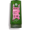 Yves Rocher - Acondicionador Protector con Vinagre de Frambuesa -