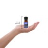 Plantlife Sleep Tight - 100% Pure Essential Oil Blend