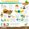 Ginger Root, Turmeric, Papain & Bromelain Tablets for General Digestive