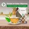 Soria Natural Mejorana 30 g