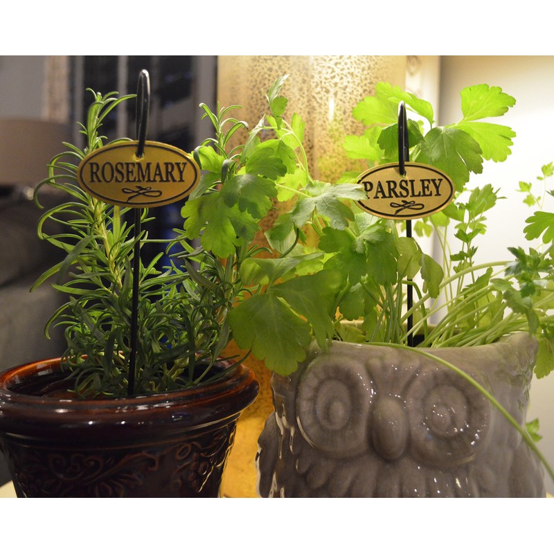 Bosmere H300 Plant Markers, Brass Plated Herb Tags with 10"