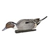 Avian-X Top Flight Pintail Decoys 6 Pack, One Size, (8082)
