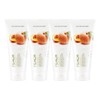 Nature Republic 네이처리퍼블릭 1+1+1+1 프레시 허브 피치 폼클렌징 Nature Republic