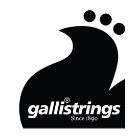 Mandolin Strings, Ph/Bz.Medium