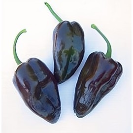 Pepper Hot Mulato Isleno Great Heirloom Vegetable by Seed Kingdom (800 Seeds)