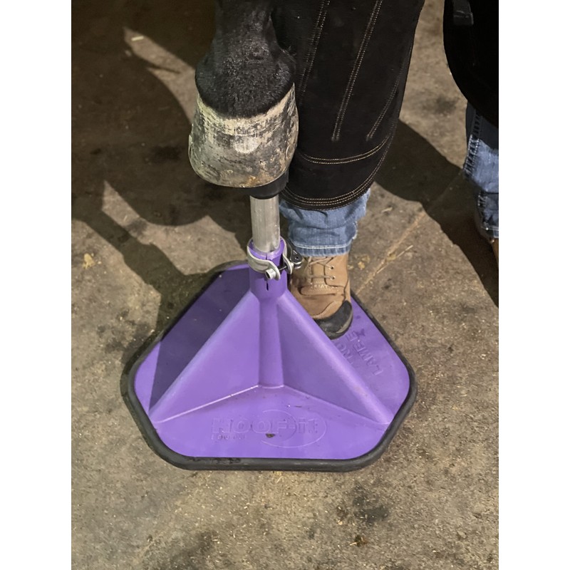 HOOF-IT Blacksmith Standard Hoof Stand Purple