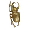 Ebros Gift Medium Gold Resin 3 Horned Rhinoceros Beetle Wall