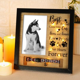 Thyle 9 x 9 Inch Dog Memorial Picture Frame with LED Light Dog Memory Gift Dog Collar Memorial Frame for Loss of Dog Pet Sympathy Gift for Remembrance Bereavement Passed Away Loss of Dogs Cats
