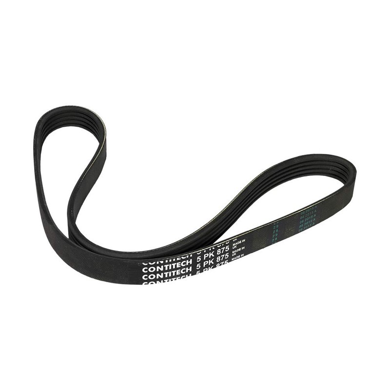 Contitech 5PK875 V-Ribbed Belt