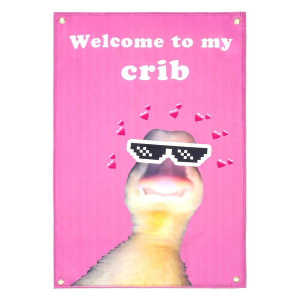 ValueBargain Welcome to My Crib Funny Flag, 2x3 Feet Funny