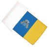 AZ FLAG Canary Islands Flag 18'' x 12'' cords -