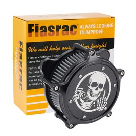 Motorcycle Air Cleaner Skull Style Air Filter Intake Kit Fit for Touring Road King Street Glide Trike 2008-16 Softail 2016-17 Dyna FXDLS 2017(Black)