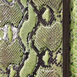 Sigel CO556 Notizbuch, Design Python, ca. A6, Dot-Lineatur (punktkariert), Hardcover, grün-braun, CONCEPTUM