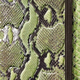 Sigel CO556 Notizbuch, Design Python, ca. A6, Dot-Lineatur (punktkariert), Hardcover, grün-braun, CONCEPTUM