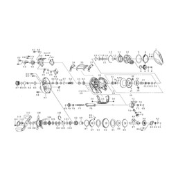 DAIWA Genuine Parts STEE A TW HLC 8.1L Spool (20-31) Part Number: 19 Part Code: 129741