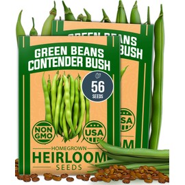 HOME GROWN Contender Bush Seeds - 56 𝗡𝗢𝗡-𝗚𝗠𝗢 𝗨𝗦𝗔-𝗦?𝗨𝗥𝗖𝗘𝗗, Heirloom Green Beans for Planting - Emergency Food Supply (Phaseolus vulgaris)