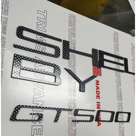 Advanced Trims SHELBY+GT500 SPOILER SPLITTER BUMPER CARBON PLASTIC LETTERS INSERTS 20-25