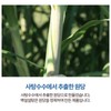 Korean Beksul Fine Quality Sugar 2.2lb 백설 설탕 (Brown Sugar)