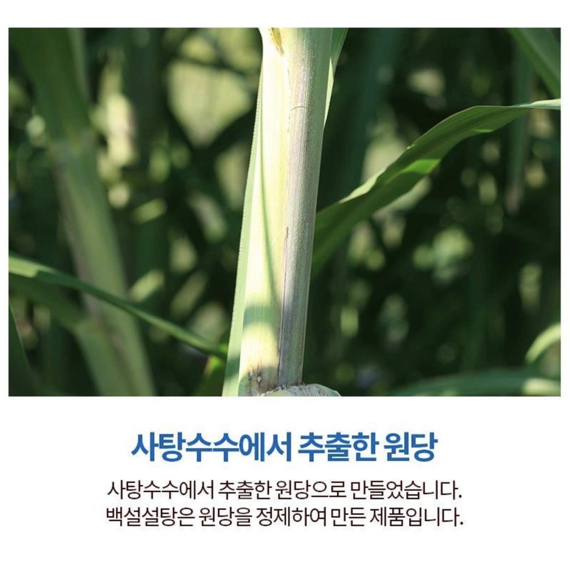 Korean Beksul Fine Quality Sugar 2.2lb 백설 설탕 (Brown Sugar)