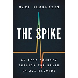 The Spike: An Epic Journey Through the Brain in 2.1 Seconds