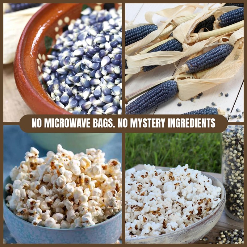 Marsh Hen Mill Indigo Popcorn Kernels | Vibrant Blue Kernels