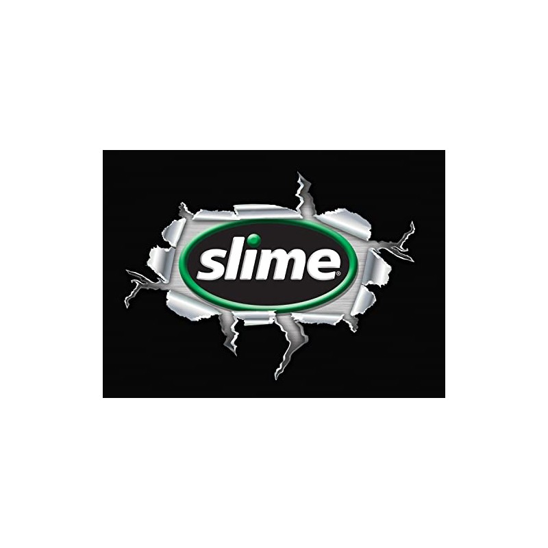 Slime 24037 5-50 PSI Pencil Gauge with Caps, 1