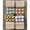 Half Dozen Egg Cartons- Henlay Blank Flat Top Six Pack