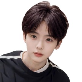 J&S Wigs Men's Human Hair Full Wigs Medical Wigs Men Short Men Wigs Twink