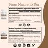 Real Mushrooms Real Mushrooms Lions Mane Powder - Organic Mushroom