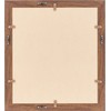 Shikishi Paper Frame UV-Cut Acrylic Specification 3709 White Brown