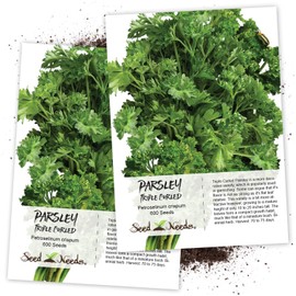 Seed Needs, Triple Curled Parsley (Petroselinum crispum) Twin Pack of 600 Seeds Each Non-GMO