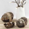 Crafty Capers Three Opening Fillable Paper Mache Eggs to Decorate
