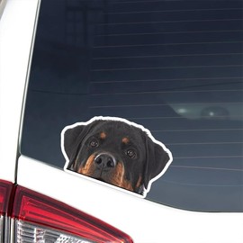 2PCS Rottweiler Vinyl Decal 5.91"x3.54", Powerful Guard Dog Sticker for Car, Truck, Laptop, Window, Bold Canine Decor |#DK158