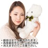Active Island Teddy Bear 3 Minute Recording Plush Toy a578