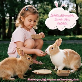 WALLFID Palm Leaf Bowls for Bunnies,6-Piece,3.5" and 6" Sizes,Natural Chew Toy for Rabbits,Bunny Accessories,Rabbit Toys,Bunny Toy (6 inches*6)