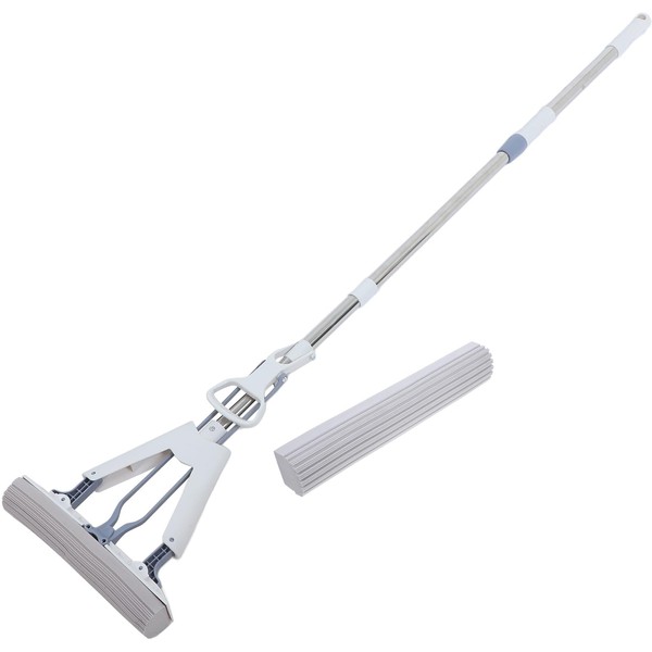 PLAFOPE Set Household Dual Folding Remover Wet and Dry Lazy