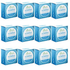 Solid Shampoo Bar And Conditioner Effect Hair Soap – 12 Pack Natural Shampoo Bars For Hair With Plant Based Essential Oils And Eco Friendly Zero Waste Biodegradable Packaging (Seaweed Pack Of 12)