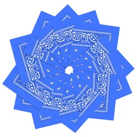 PJPSAA 12 Pack Bandanas Unisex Paisley Cowboy Bandanas Bulk Multi Purpose Headband Scarf for Men Women Costume