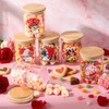 12 Set 17oz Glass Storage Jars with Airtight Lid Retro