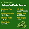 HOME GROWN HOME GROWN Jalapeno Seeds, Early Pepper Variety -