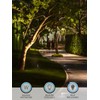 LEONLITE 12V AC/DC Low Voltage LED Landscape Spotlight with Replaceable