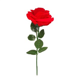 Floral Ring Box - Jewelry Display,Flower Ring Boxes Earring Jewelry Box Case Engagement Ring Box for Wedding Special Occasions