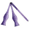 Alizeal Mens 2pcs Gradient Color Classic Paisley Self-tied Bow Tie