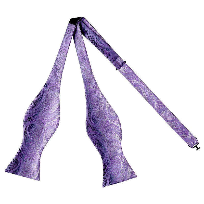Alizeal Mens 2pcs Gradient Color Classic Paisley Self-tied Bow Tie