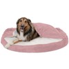 Furhaven Cozy Pet Beds for Small, Medium, and Large Dogs