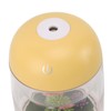 Micro Landscape Humidifier Cute Quiet 2 in 1 Ultrasonic Essential