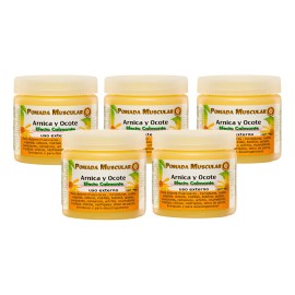 Pomada Muscular Árnica Y Ocote 140gr Florigan® Pack 5 Piezas Alcanfor