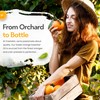 100ml Sweet Orange Essential Oil - Freshskin Beauty LTD |